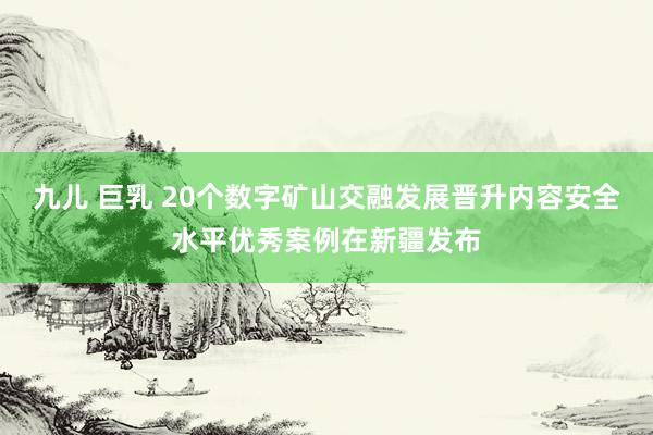 九儿 巨乳 20个数字矿山交融发展晋升内容安全水平优秀案例在新疆发布