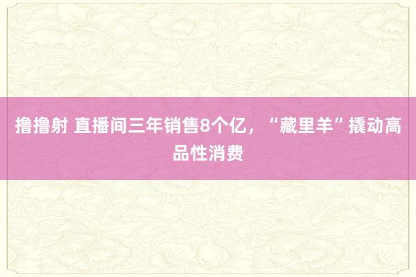 撸撸射 直播间三年销售8个亿，“藏里羊”撬动高品性消费