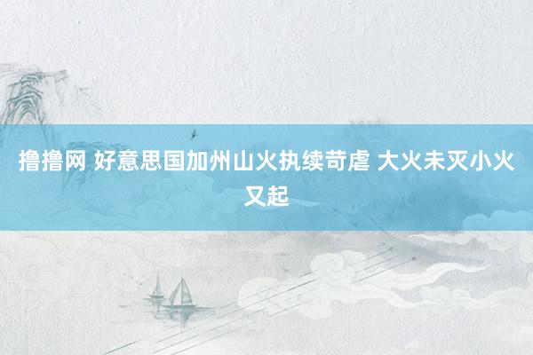 撸撸网 好意思国加州山火执续苛虐 大火未灭小火又起