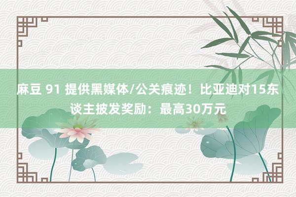 麻豆 91 提供黑媒体/公关痕迹！比亚迪对15东谈主披发奖励：最高30万元