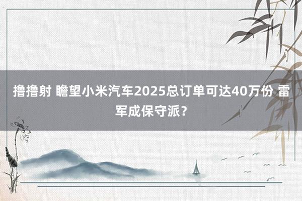 撸撸射 瞻望小米汽车2025总订单可达40万份 雷军成保守派？