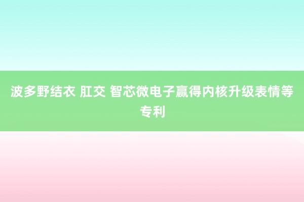 波多野结衣 肛交 智芯微电子赢得内核升级表情等专利