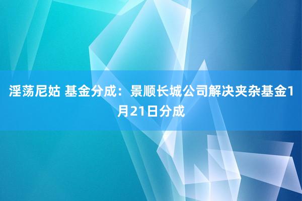 淫荡尼姑 基金分成：景顺长城公司解决夹杂基金1月21日分成