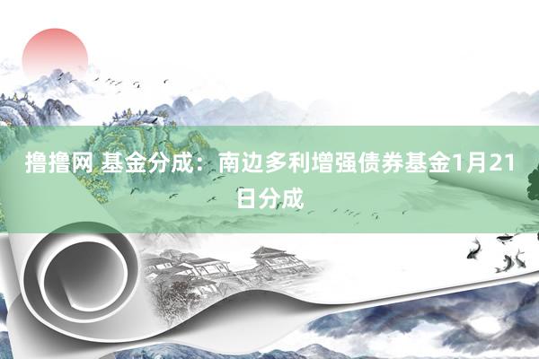 撸撸网 基金分成：南边多利增强债券基金1月21日分成