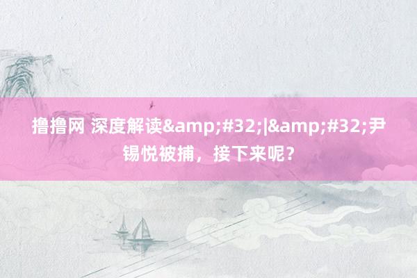 撸撸网 深度解读&#32;|&#32;尹锡悦被捕，接下来呢？