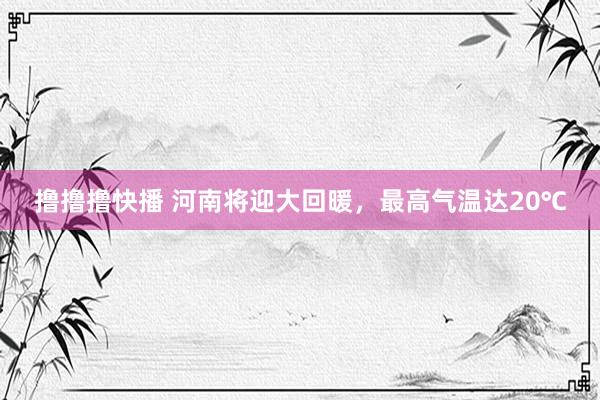 撸撸撸快播 河南将迎大回暖，最高气温达20℃