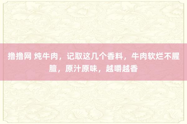 撸撸网 炖牛肉，记取这几个香料，牛肉软烂不腥膻，原汁原味，越嚼越香