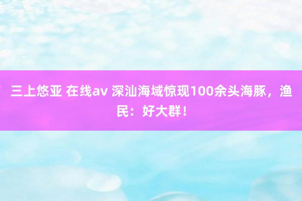 三上悠亚 在线av 深汕海域惊现100余头海豚，渔民：好大群！