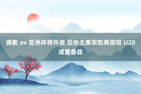 调教 av 亚洲杯将开战 足协主席宋凯再探班 U20减量备战