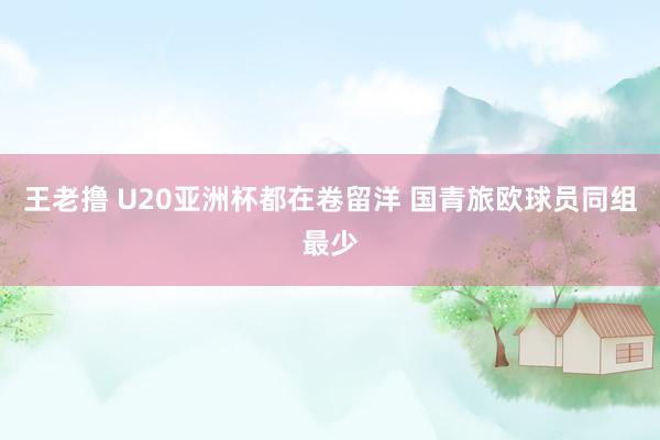 王老撸 U20亚洲杯都在卷留洋 国青旅欧球员同组最少
