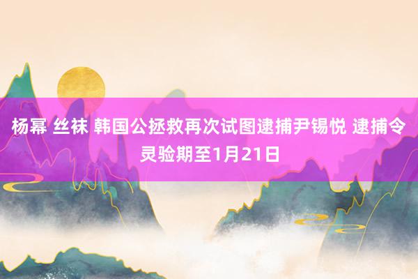 杨幂 丝袜 韩国公拯救再次试图逮捕尹锡悦 逮捕令灵验期至1月21日