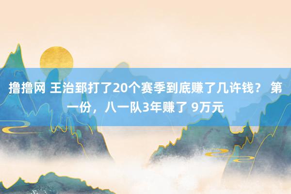 撸撸网 王治郅打了20个赛季到底赚了几许钱？ 第一份，八一队3年赚了 9万元