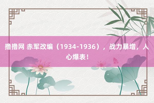 撸撸网 赤军改编（1934-1936），战力暴增，人心爆表！