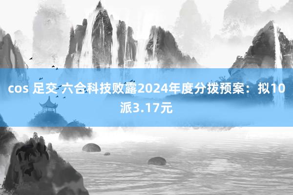 cos 足交 六合科技败露2024年度分拨预案：拟10派3.17元