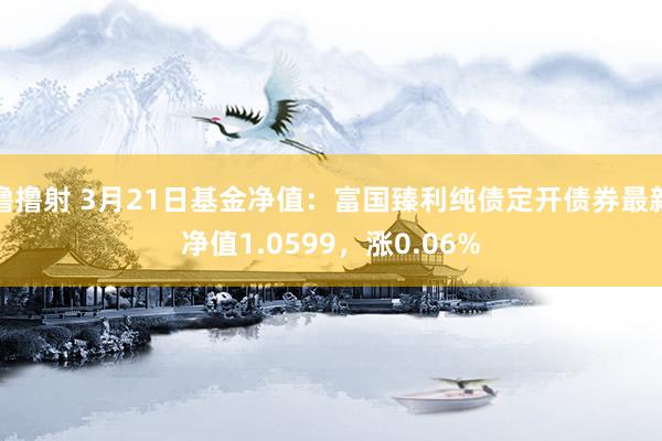 撸撸射 3月21日基金净值：富国臻利纯债定开债券最新净值1.0599，涨0.06%