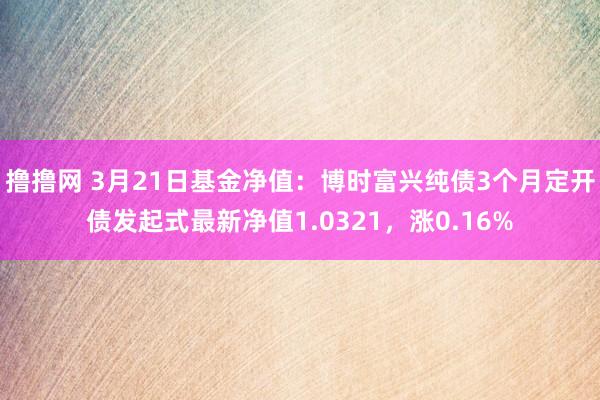 撸撸网 3月21日基金净值：博时富兴纯债3个月定开债发起式最新净值1.0321，涨0.16%