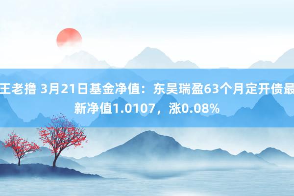 王老撸 3月21日基金净值：东吴瑞盈63个月定开债最新净值1.0107，涨0.08%
