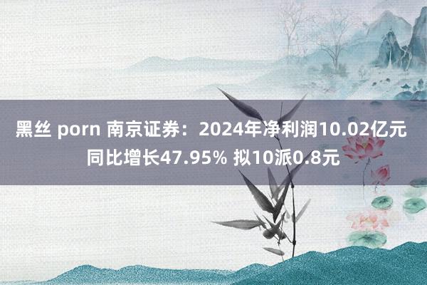 黑丝 porn 南京证券：2024年净利润10.02亿元 同比增长47.95% 拟10派0.8元