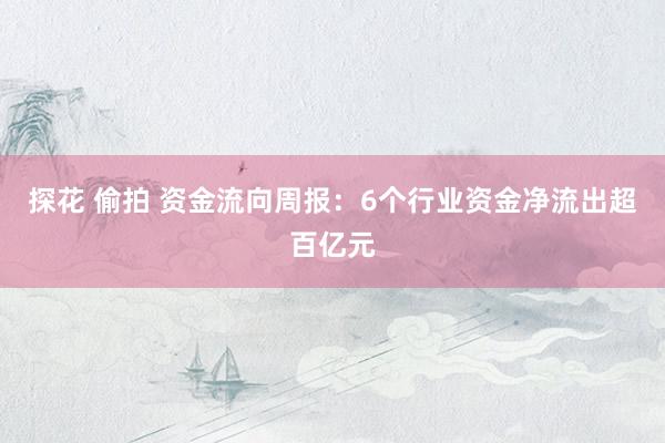 探花 偷拍 资金流向周报：6个行业资金净流出超百亿元