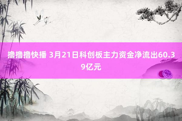 撸撸撸快播 3月21日科创板主力资金净流出60.39亿元