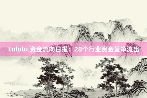 Lululu 资金流向日报：28个行业资金呈净流出