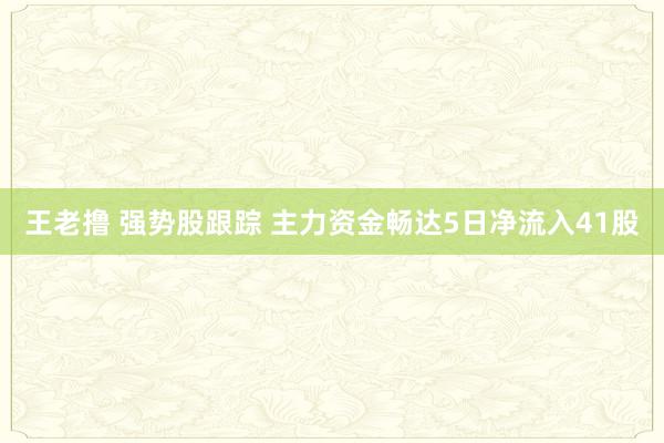 王老撸 强势股跟踪 主力资金畅达5日净流入41股
