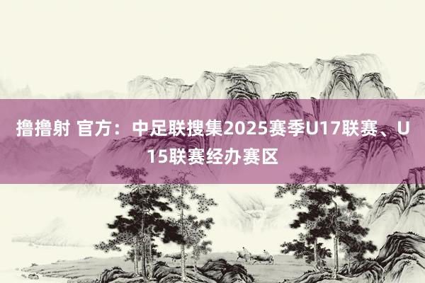 撸撸射 官方：中足联搜集2025赛季U17联赛、U15联赛经办赛区