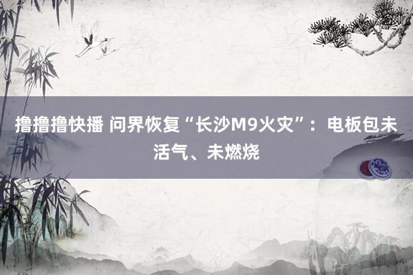 撸撸撸快播 问界恢复“长沙M9火灾”：电板包未活气、未燃烧