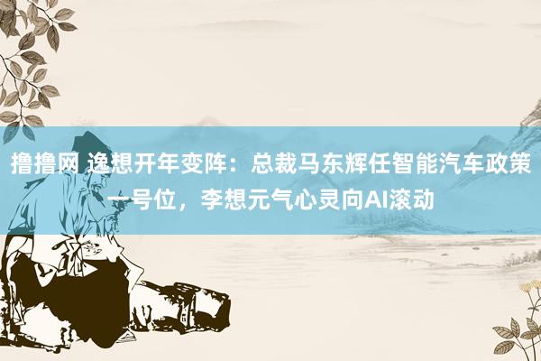 撸撸网 逸想开年变阵：总裁马东辉任智能汽车政策一号位，李想元气心灵向AI滚动
