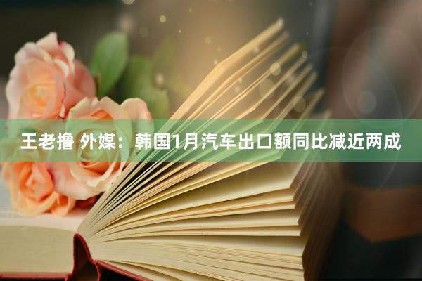 王老撸 外媒：韩国1月汽车出口额同比减近两成