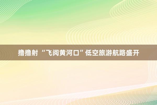 撸撸射 “飞阅黄河口”低空旅游航路盛开