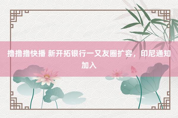 撸撸撸快播 新开拓银行一又友圈扩容，印尼通知加入