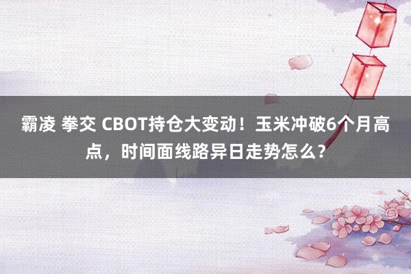 霸凌 拳交 CBOT持仓大变动！玉米冲破6个月高点，时间面线路异日走势怎么？