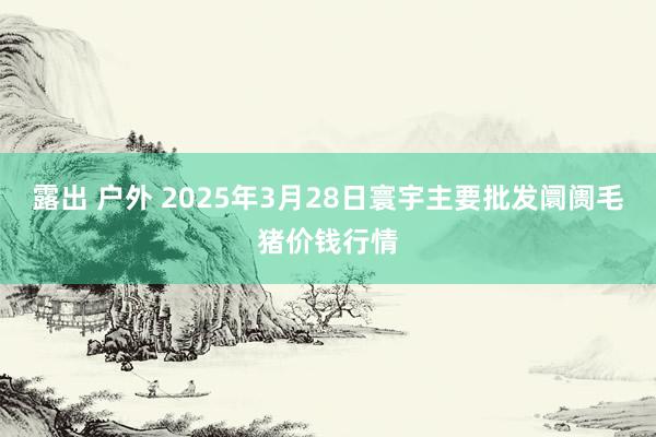 露出 户外 2025年3月28日寰宇主要批发阛阓毛猪价钱行情