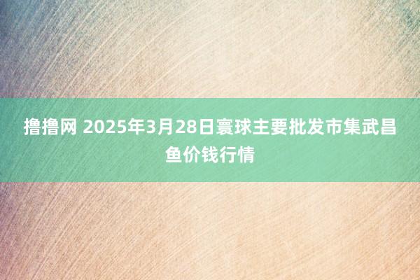 撸撸网 2025年3月28日寰球主要批发市集武昌鱼价钱行情