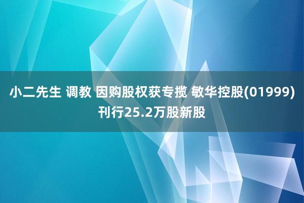 小二先生 调教 因购股权获专揽 敏华控股(01999)刊行25.2万股新股