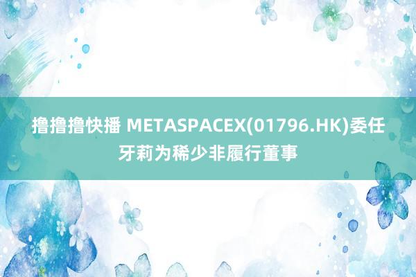 撸撸撸快播 METASPACEX(01796.HK)委任牙莉为稀少非履行董事