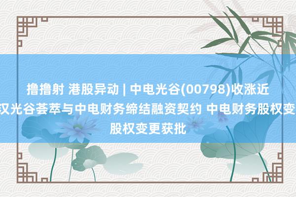 撸撸射 港股异动 | 中电光谷(00798)收涨近6% 武汉光谷荟萃与中电财务缔结融资契约 中电财务股权变更获批