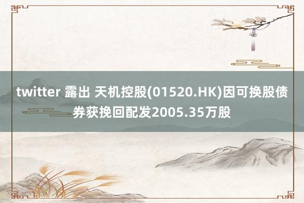twitter 露出 天机控股(01520.HK)因可换股债券获挽回配发2005.35万股