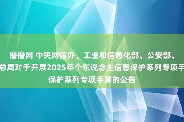 撸撸网 中央网信办、工业和信息化部、公安部、阛阓监管总局对于开展2025年个东说念主信息保护系列专项手脚的公告