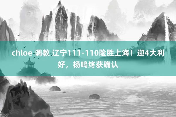 chloe 调教 辽宁111-110险胜上海！迎4大利好，杨鸣终获确认