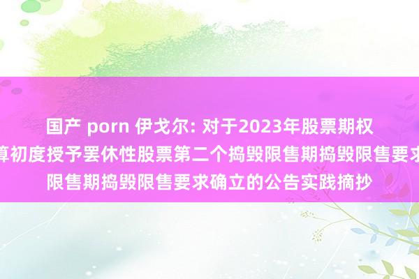 国产 porn 伊戈尔: 对于2023年股票期权与罢休性股票激发计算初度授予罢休性股票第二个捣毁限售期捣毁限售要求确立的公告实践摘抄