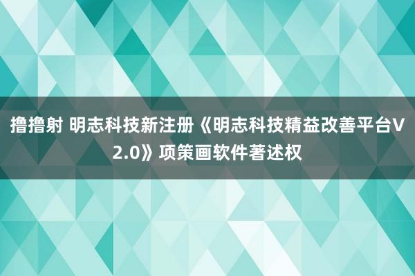 撸撸射 明志科技新注册《明志科技精益改善平台V2.0》项策画软件著述权