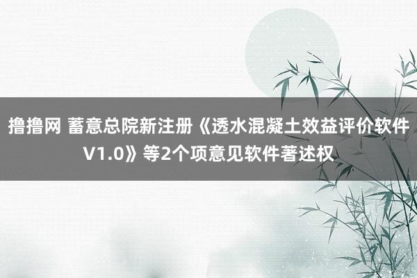 撸撸网 蓄意总院新注册《透水混凝土效益评价软件V1.0》等2个项意见软件著述权