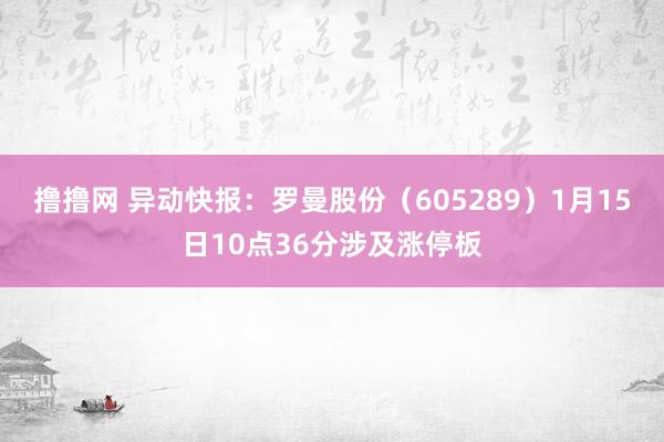撸撸网 异动快报：罗曼股份（605289）1月15日10点36分涉及涨停板