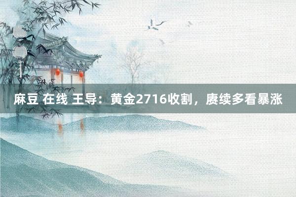 麻豆 在线 王导：黄金2716收割，赓续多看暴涨
