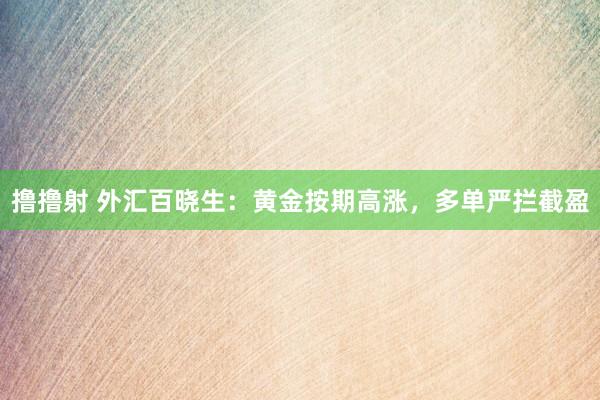 撸撸射 外汇百晓生：黄金按期高涨，多单严拦截盈