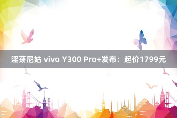 淫荡尼姑 vivo Y300 Pro+发布：起价1799元