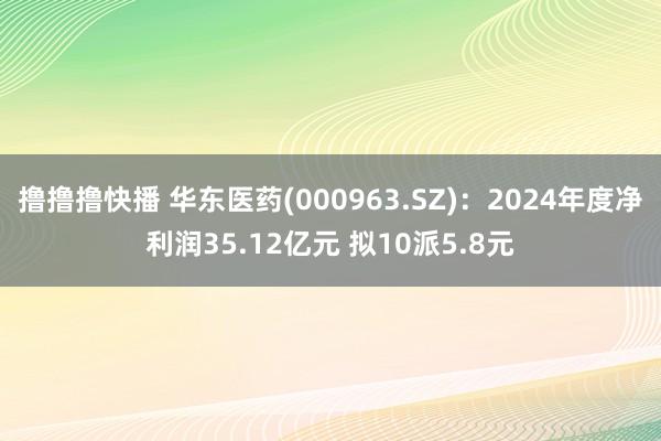 撸撸撸快播 华东医药(000963.SZ)：2024年度净利润35.12亿元 拟10派5.8元