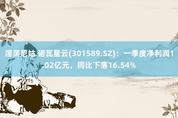 淫荡尼姑 诺瓦星云(301589.SZ)：一季度净利润1.02亿元，同比下落16.54%